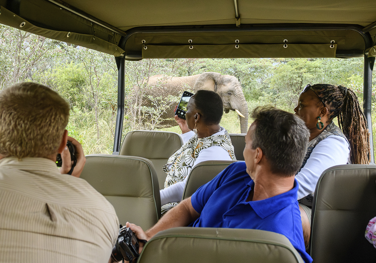 Monomotapa Village Entabeni reserve Big 5 experience